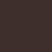 Dark brown solid color background, matte finish, uniform tone, flat composition, consistent surface, no texture, simple visual, subdued presence.